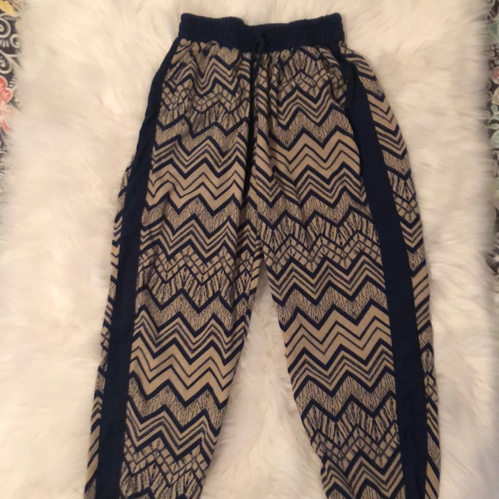 Rue 21 Navy/Brown pants